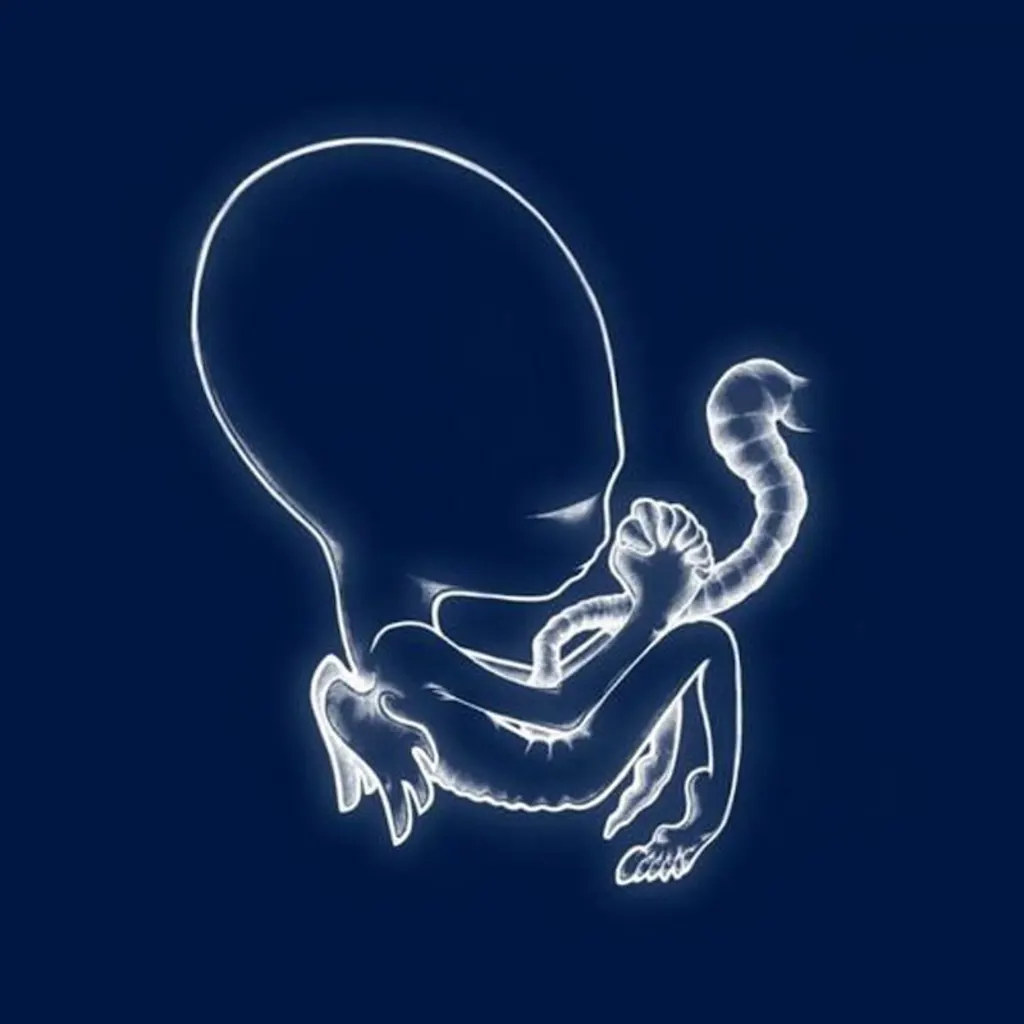 Sigur Ros - Ágætis Byrjun